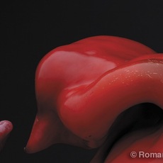 Romano Segna | Natura viva #12