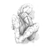 Silvano Pica | Evocazione