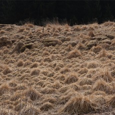 Silvia Boschiero | Landscape 2