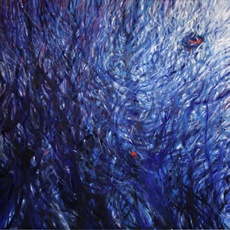 Silvia Canton | fuori dal nido