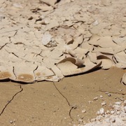 Simoncini.Tangi | Microcambiamenti