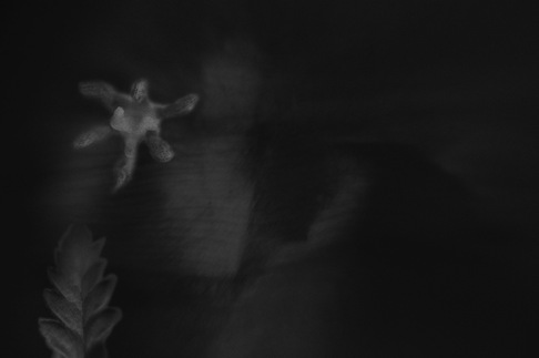 Stefania Piccioni | Il Volo