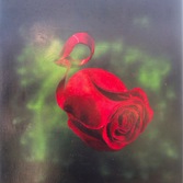 Tiziana De Felice | Rosa spaziale