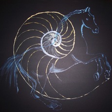 Van Tozh | Locomozione animale