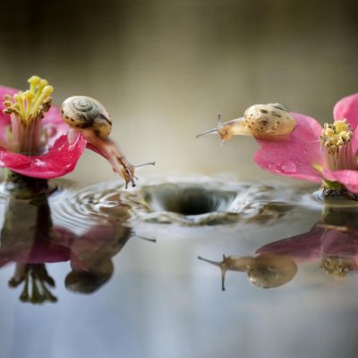 Alberto Ghizzi Panizza | (DSC2998 Resize)