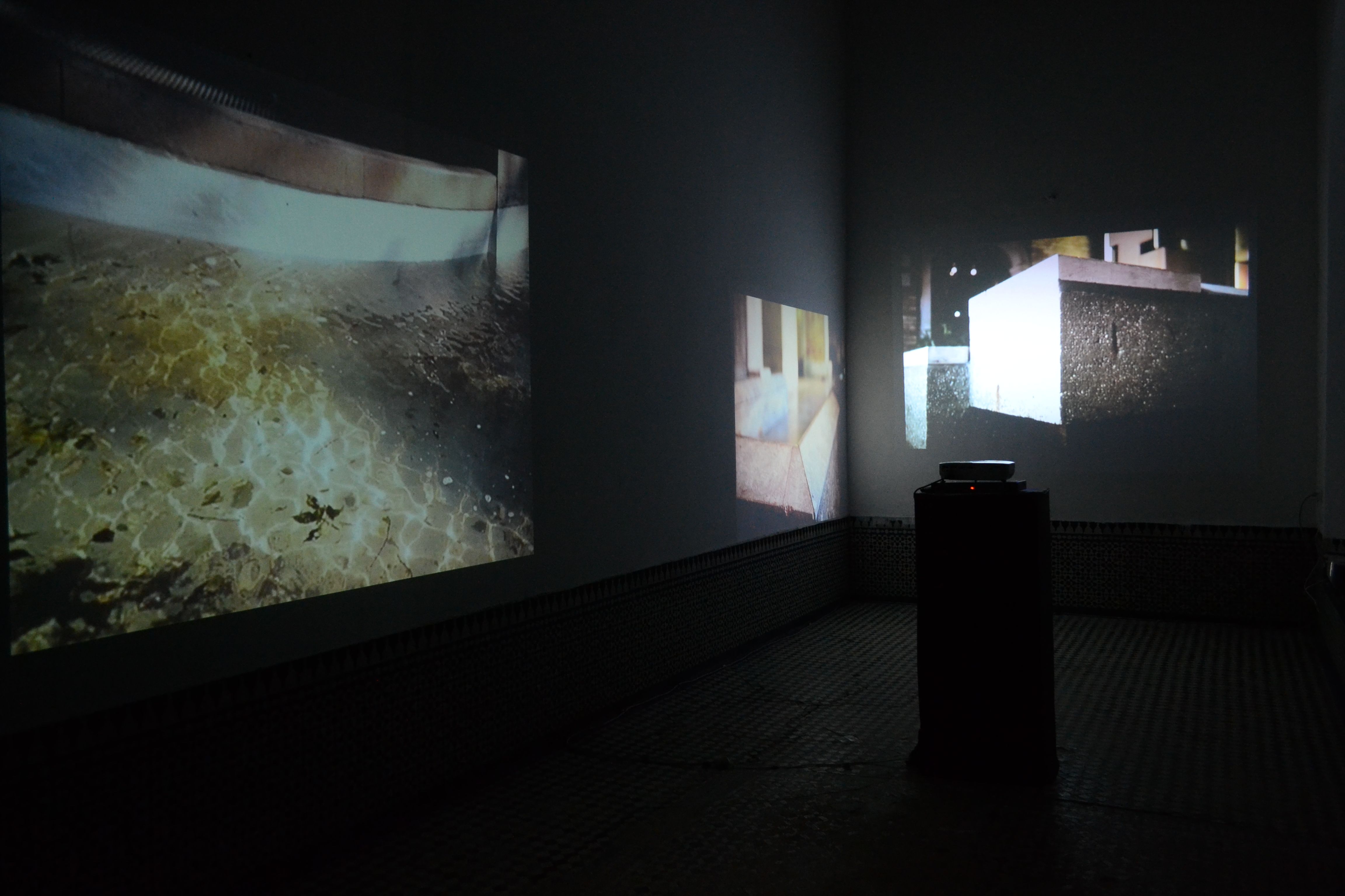 Alessia Cargnelli | Il Giardino Segreto di