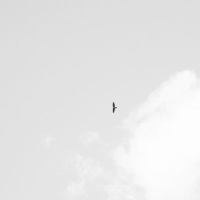 Alice Grassi | APPUNTI SUL VOLO #3 Aquila