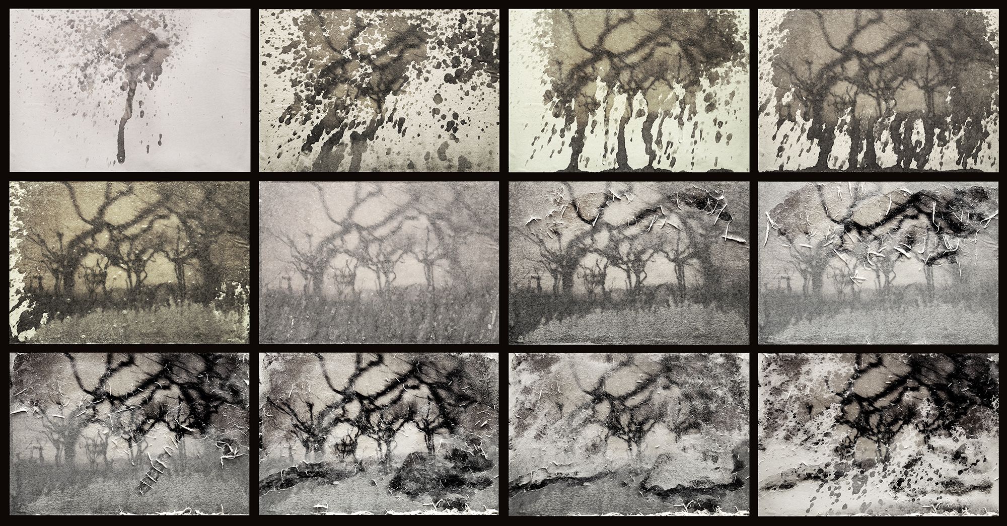 Cecilia Hurtado | The Dormant Image