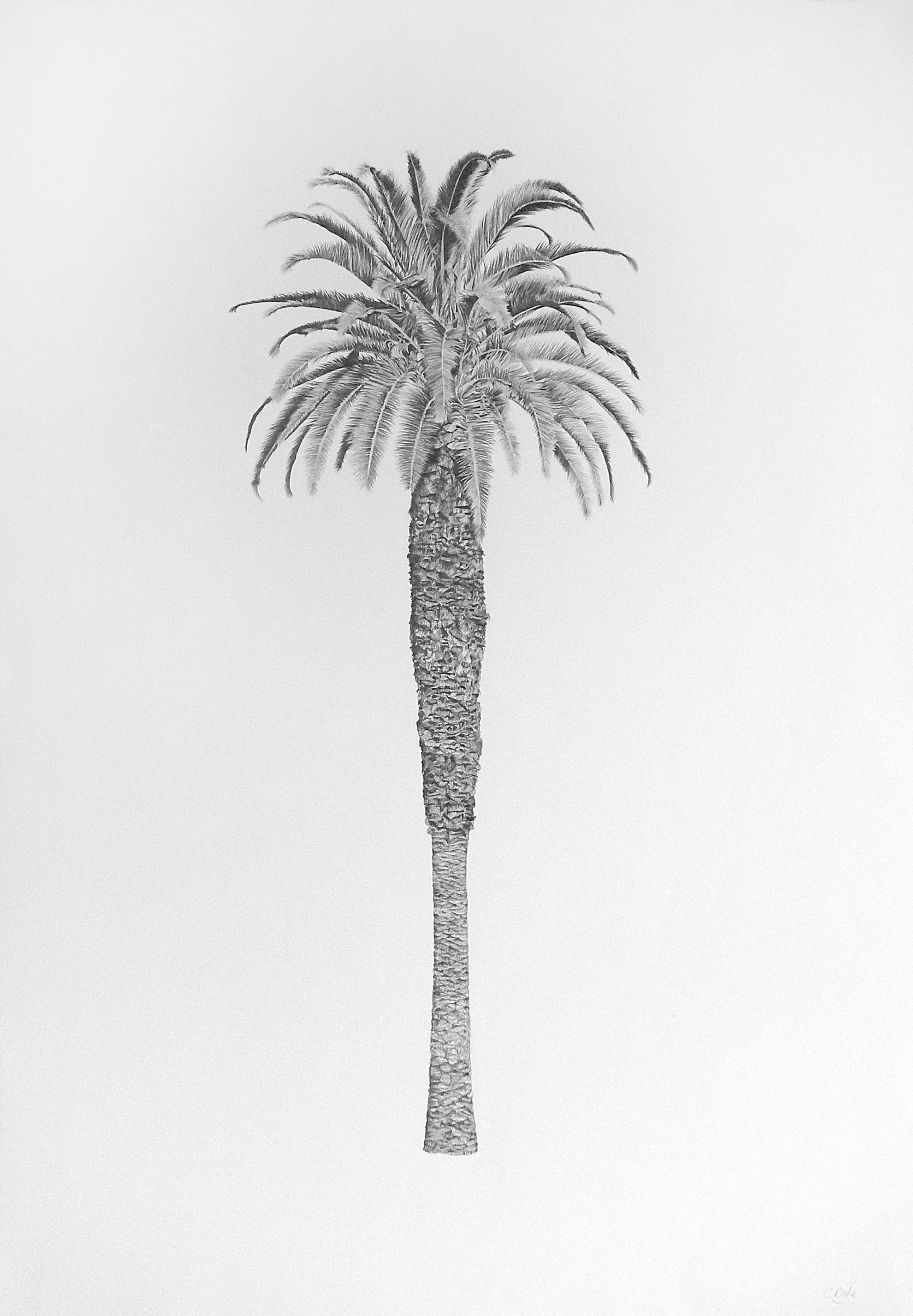 Charlotte Royle | Summer Palm