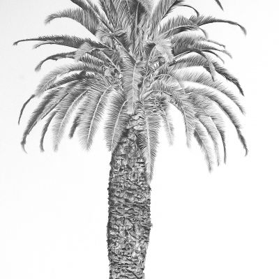 Charlotte Royle | Summer Palm dettaglio