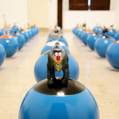 Dunia Mauro | The Isolated