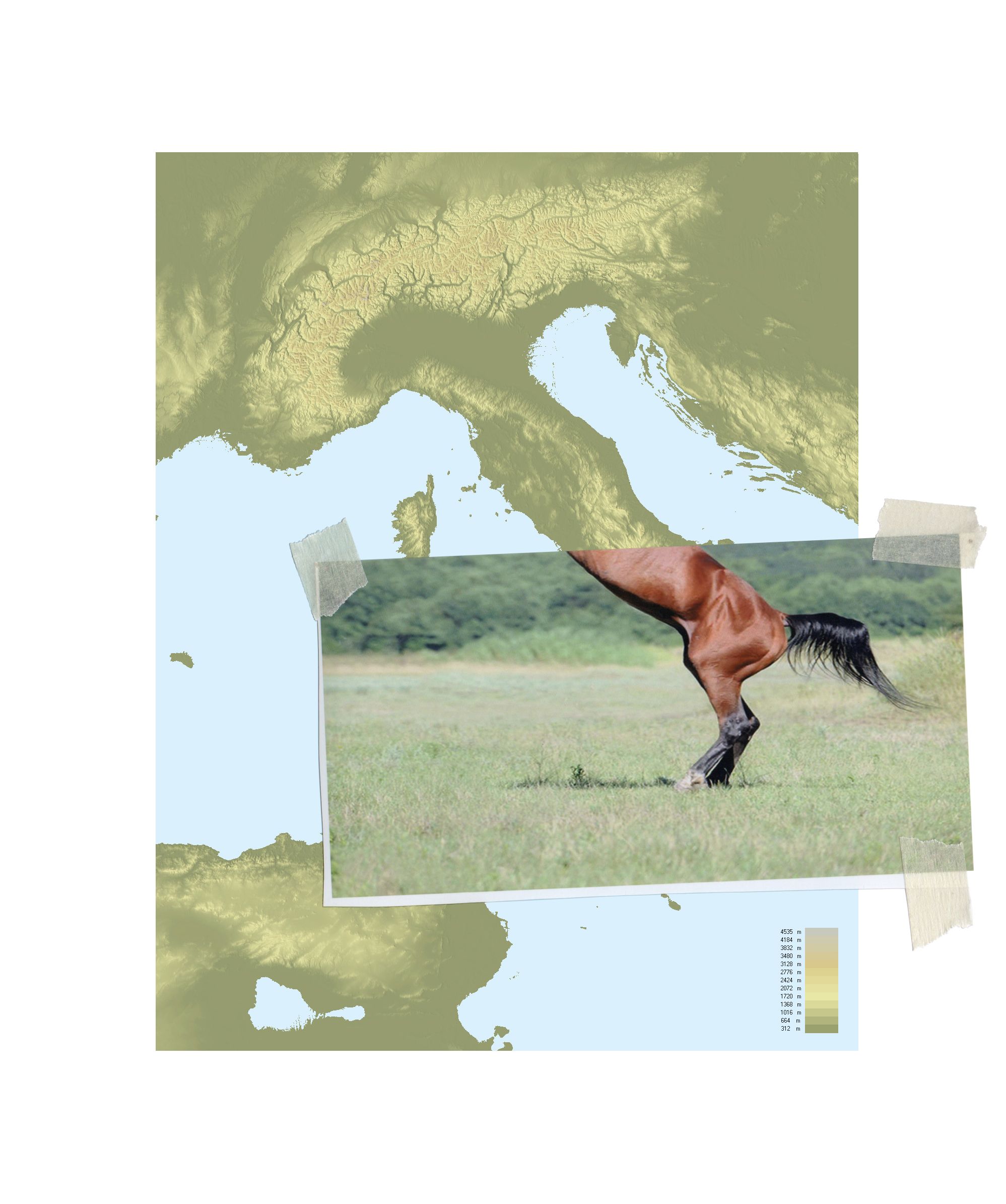 Enzo Umbaca | ”... che l’erba cresce”