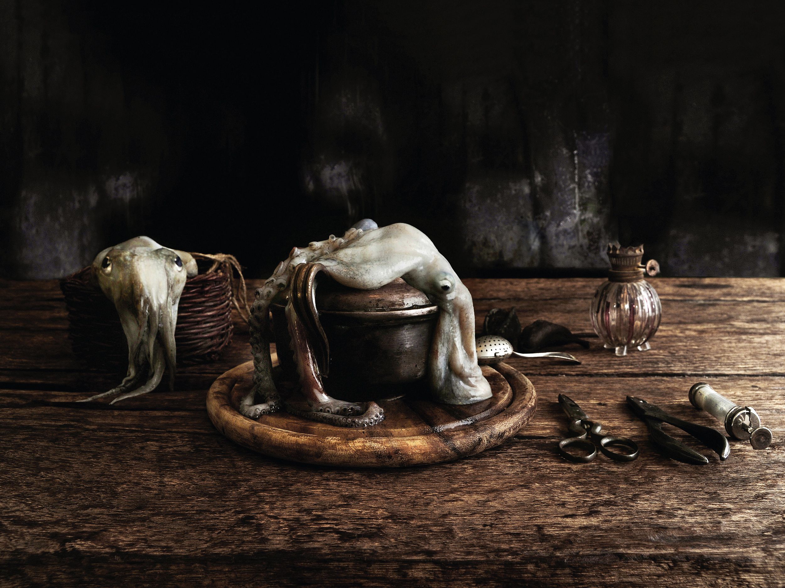 Eran Gilat | Untitled from ”Life science” series