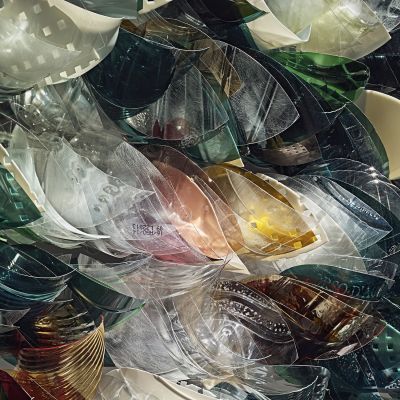 Ester Pasqualoni | NELL’OPERA, macrofotografia da Espansione