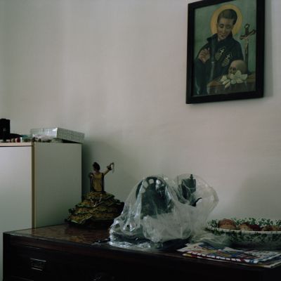 Federico Morri | Natura nr. 1