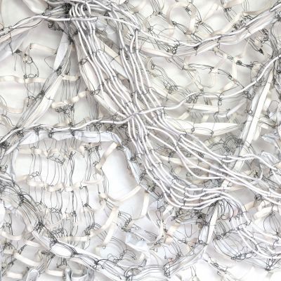 Hannah Quinlivan | Detail from Connective Tissue