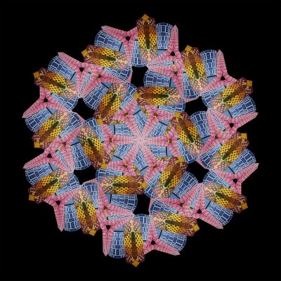 Hua Bai | westnile virus