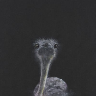 Liv C Fjellsol | Vet ikke (Do not know)