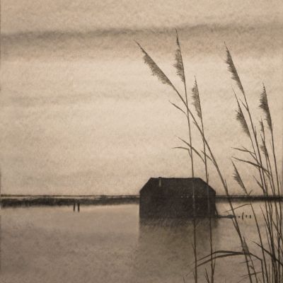 Marco Rosellini | Polesine