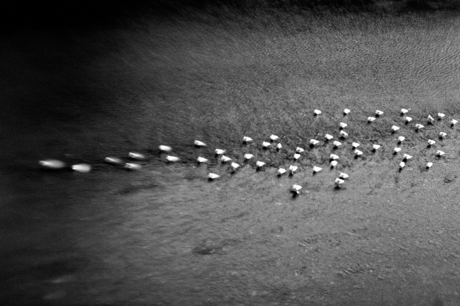 Mauro Pinotti | endless