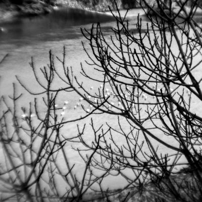 Mauro Pinotti | endless_2