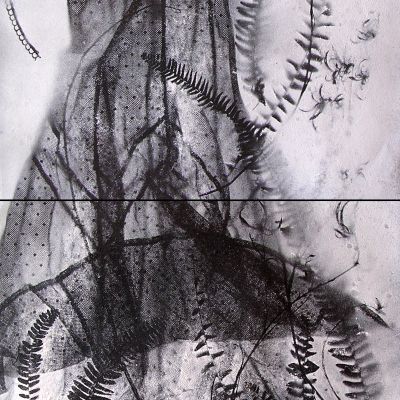 Milena Nicosia | Deposito 54