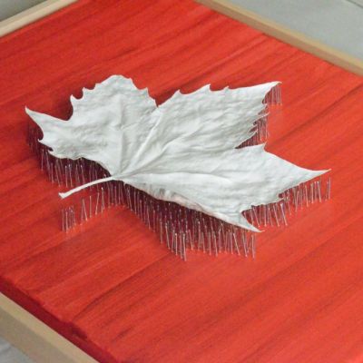 narture | 41-chiodi 3