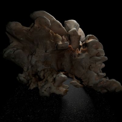 Oren Lavie | Passage (Work in progress)
