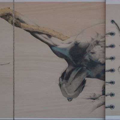 Paolo Rossetto | Equilibrio armonico (part.)