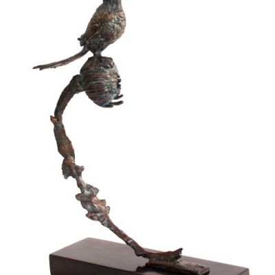 Roelof Stephen Rautenbach | 'Sugarbird'