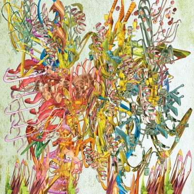 Ryota Matsumoto | Field Scope Observations in Post Landing