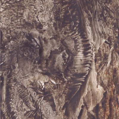 Savvas Mavidis | Fossils