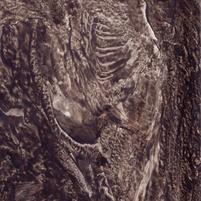 Savvas Mavidis | Fossils