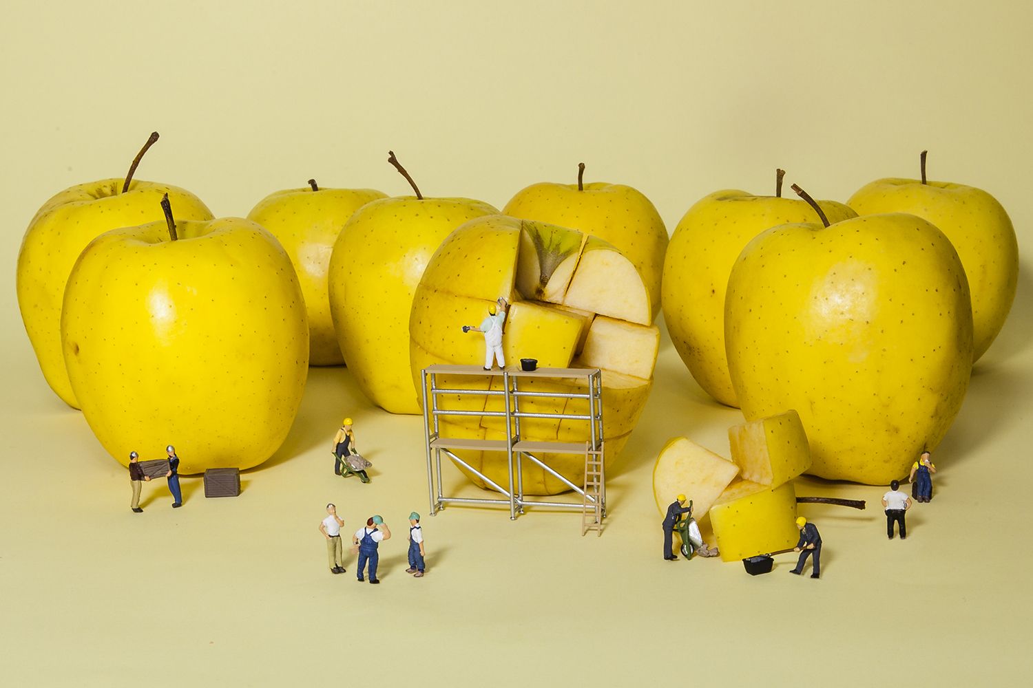 Stefano Canotti | MicroMegaMondo
