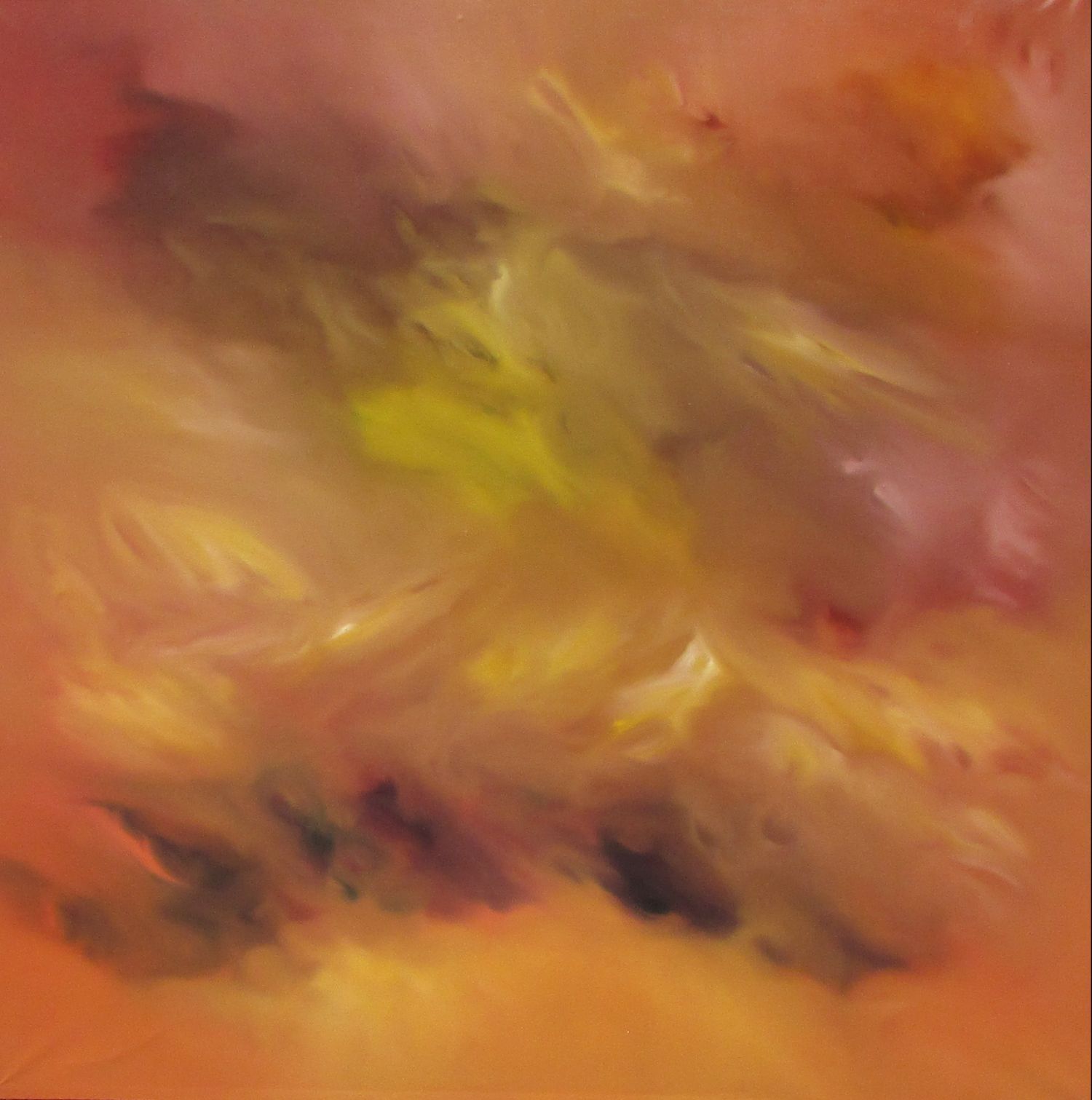 Wilme | Forza Interiore