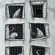  | Escape