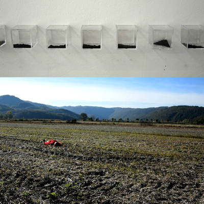  | dettagli di PER GRANDE AMORE - 36 giorni con i tuoi capelli del colore del grano / La cenere di 36 torsi di pannocchia / Per 36 minuti ho guardato il cielo