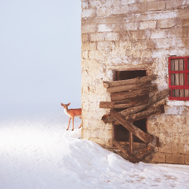 Graziano Panfili | Adolescenza