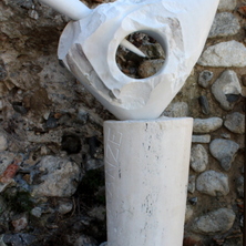  | PUNGENTI FRAGRANZE