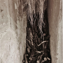 Luciana Campos Horta | Holocausto