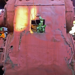 Rainer Mauerer | Leben (Vita)