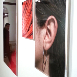  | Ruota (Temperamento Collerico)