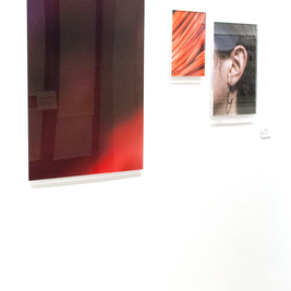  | Ruota (Temperamento Collerico)