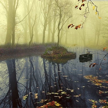 ALESSANDRA PIASECKA | THE LOST SEASON