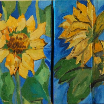  | girasoli