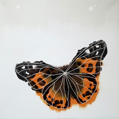  | butterfly 6