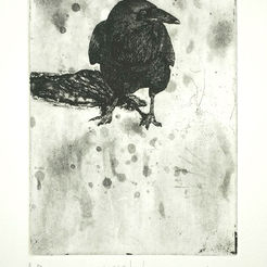 cabezon | untitled