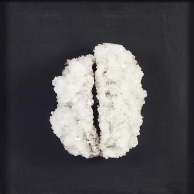  | Brain