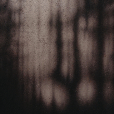 | Untitled