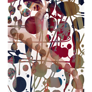  | Suite: ”Les Grands Iris”, estampe iV.